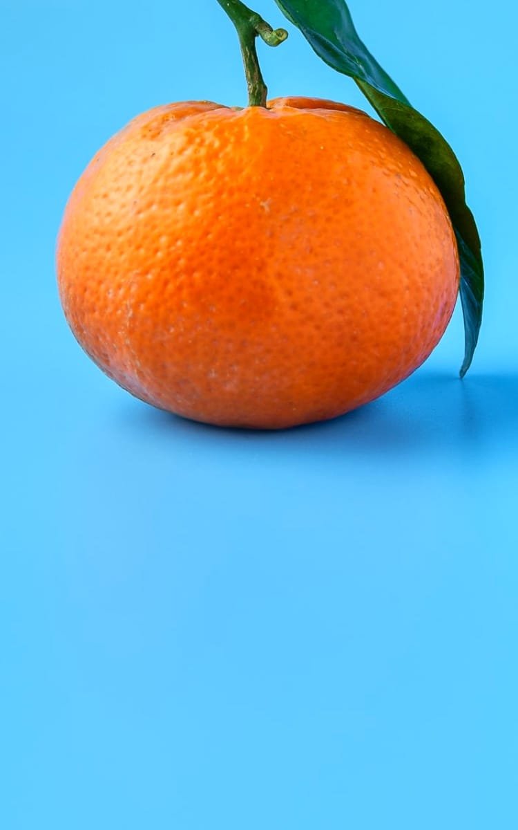 one orange fruit on blue background