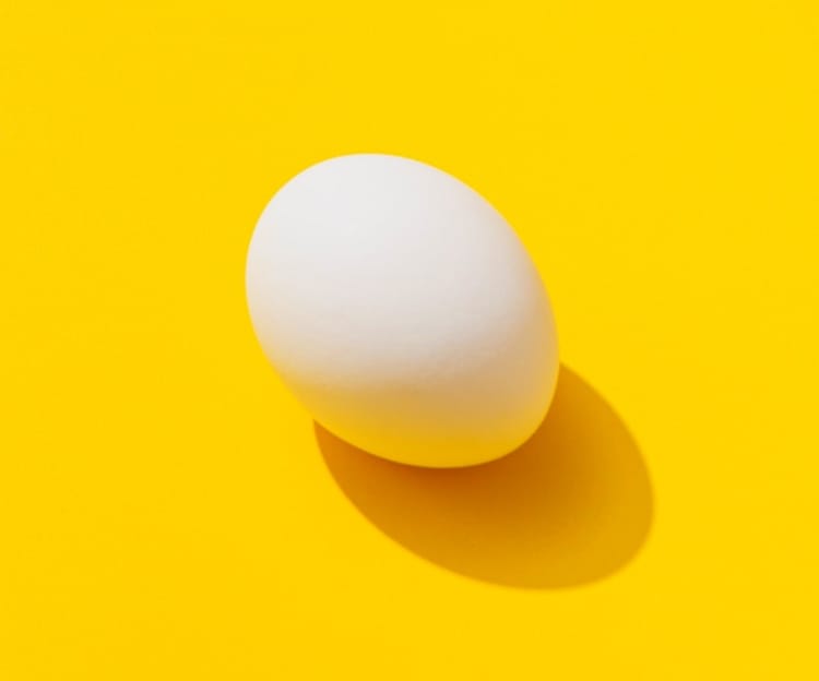 white chicken egg on vivid yellow background